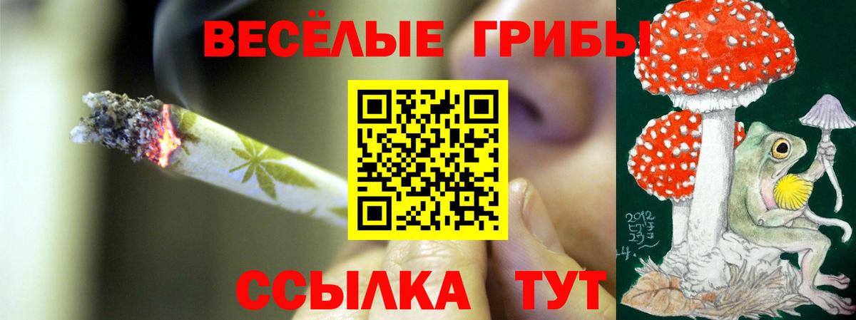 Псилоцибиновые грибы Psilocybine cubensis  Вход с VPN  Семёнов 